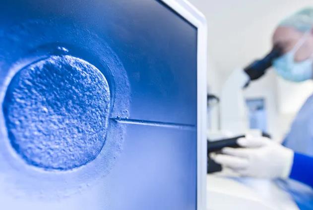泰国试管胚胎筛查费用解读基因检测费大概需要1万元左右