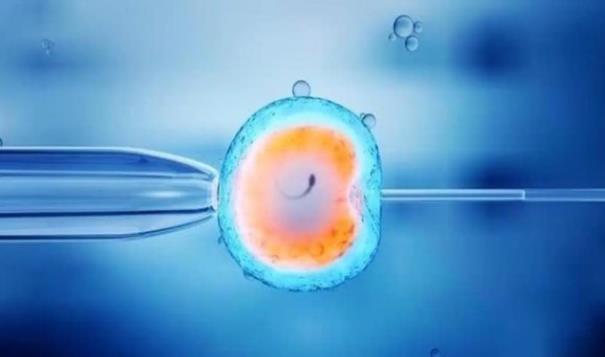试管婴儿取卵后多久移植内附开始移植的时间分析