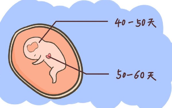 泰国三代试管婴儿的流程括哪些