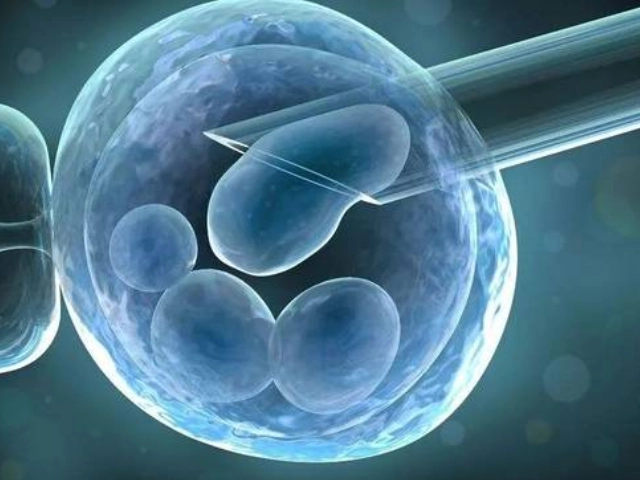 试管双方细胞结合一代多少钱试管婴儿双方细胞结合成功率