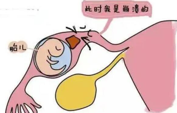 辽宁锦州私立医院试管儿子多少钱，附医院排名