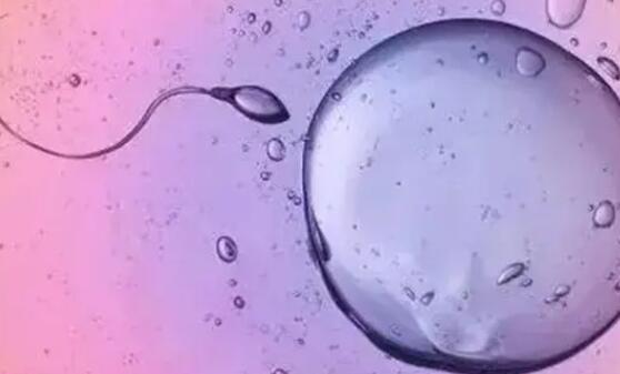做试管配不成优质胚胎是什么原因，这三大因素都会产影响