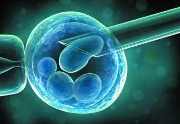了解鲜胚移植成功的十个征兆，有这些症状表示怀孕了