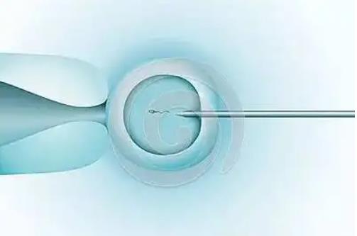 三代试管取卵到移植正常需要多长时间有哪些需要注意的