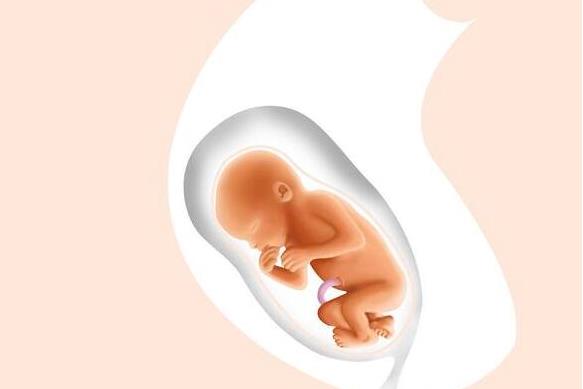 日本做试管婴儿双胞胎成功率高吗，高龄试管双胎成功率如何