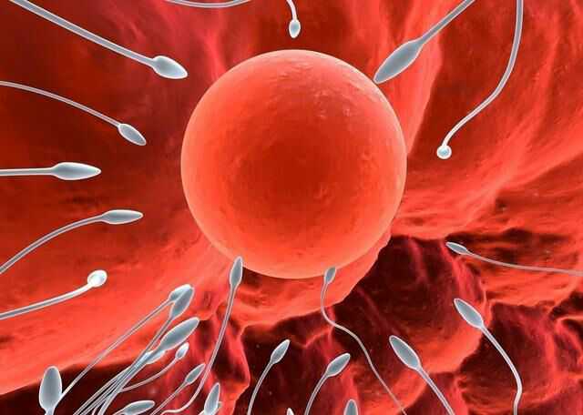 28岁做试管成功率竟然这么高！