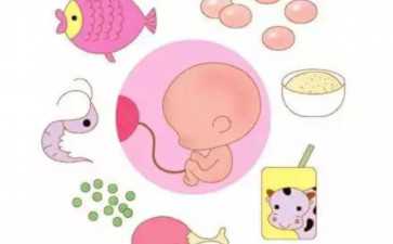 艰辛的备孕历程 备孕艰辛的文案-专业供卵代生