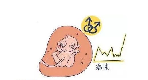 韩国试管婴儿成功率和费用